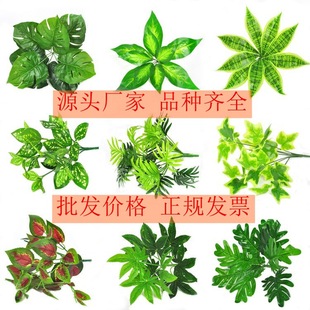 2025�¿˹�~����Gֲ�h�����|�����bM�ϻ�c��������ֲ���~