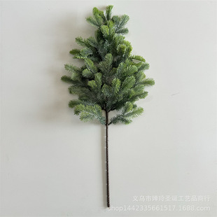 �����}�Q���֦��Ʒ �}�Q���}�Q���b�PE��֦ ����˪��ᘳ�Ʒ���l