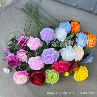 3�^��ĵ�����滨����õ�岼�û�Y�bٻ���÷���Ƶ���Ì��û�