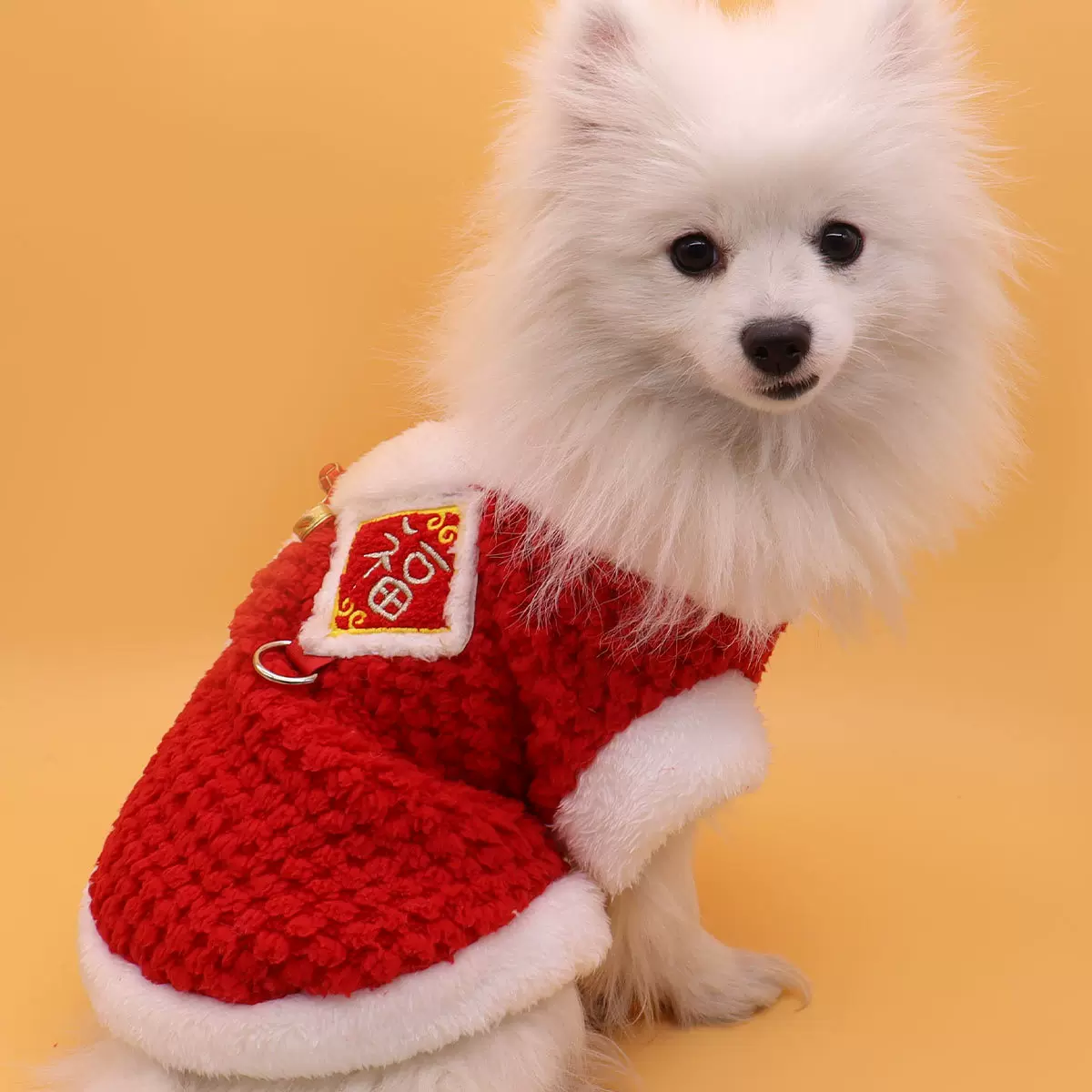 宠物新年衣服猫咪衣服红色冬季过年喜庆国风狗狗新年衣服加绒保暖