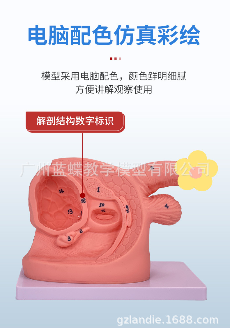 详情_05
