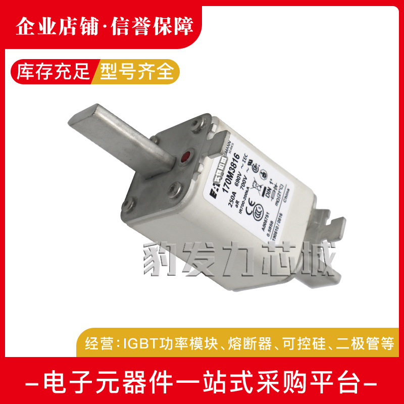 170M3951/3952/3953/3954/3955/3956全新熔断器现货