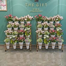 �����r��չʾ�ܶ����A�ݻ��ܔ[�����f��݆�Fˇ���ӻ�Ͱ���ϻ�Ͳ