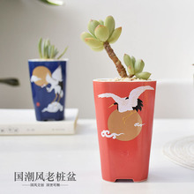 �������Sֱ�N�¿�����L�������QС�Ϙ������մɶ���ֲ�ﻨ�����b