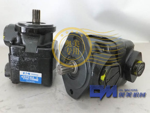 ������������˹ �D��� �~Ƭ��V20-1P13P-38C-20