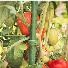 番茄西紅柿聖女果架子爬藤植物攀爬支架多層伸縮花架可調大小組裝