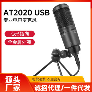 AT2020USB wholesale wired condenser microphone anchor recording conference big shock film human voice microphone microphone