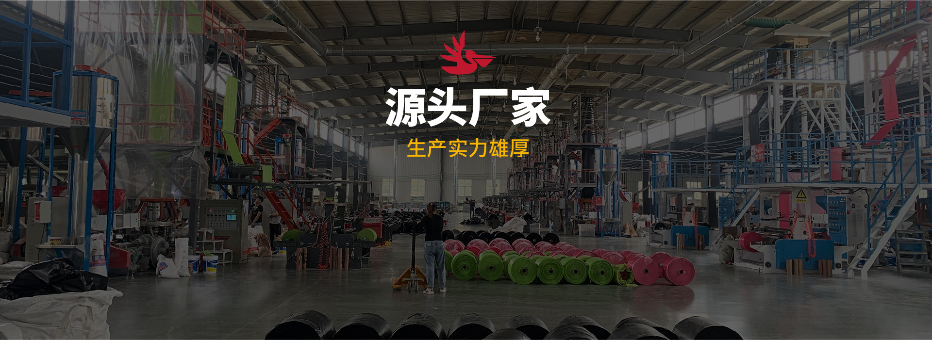 店招_画板 1 副本 3