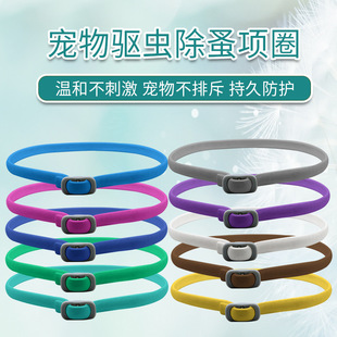 �x�����N������x���x�Ȧ����؈��������ʭ�Ȧ�S��ֱ�N