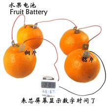 鼎桢DIY自制水果电池科技小制作小发明儿童科学实验作业儿童材料