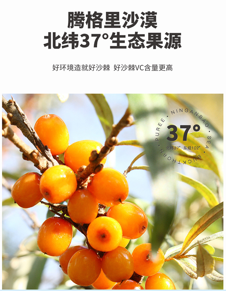 Sea Buckthorn Puree Juice Concentrate Ningxia Origin OEM Private Label Bulk Supply quality and texture