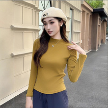 2025秋冬新款升级版小立领款微粒绒磨毛椰油打底衫女休闲百搭长袖