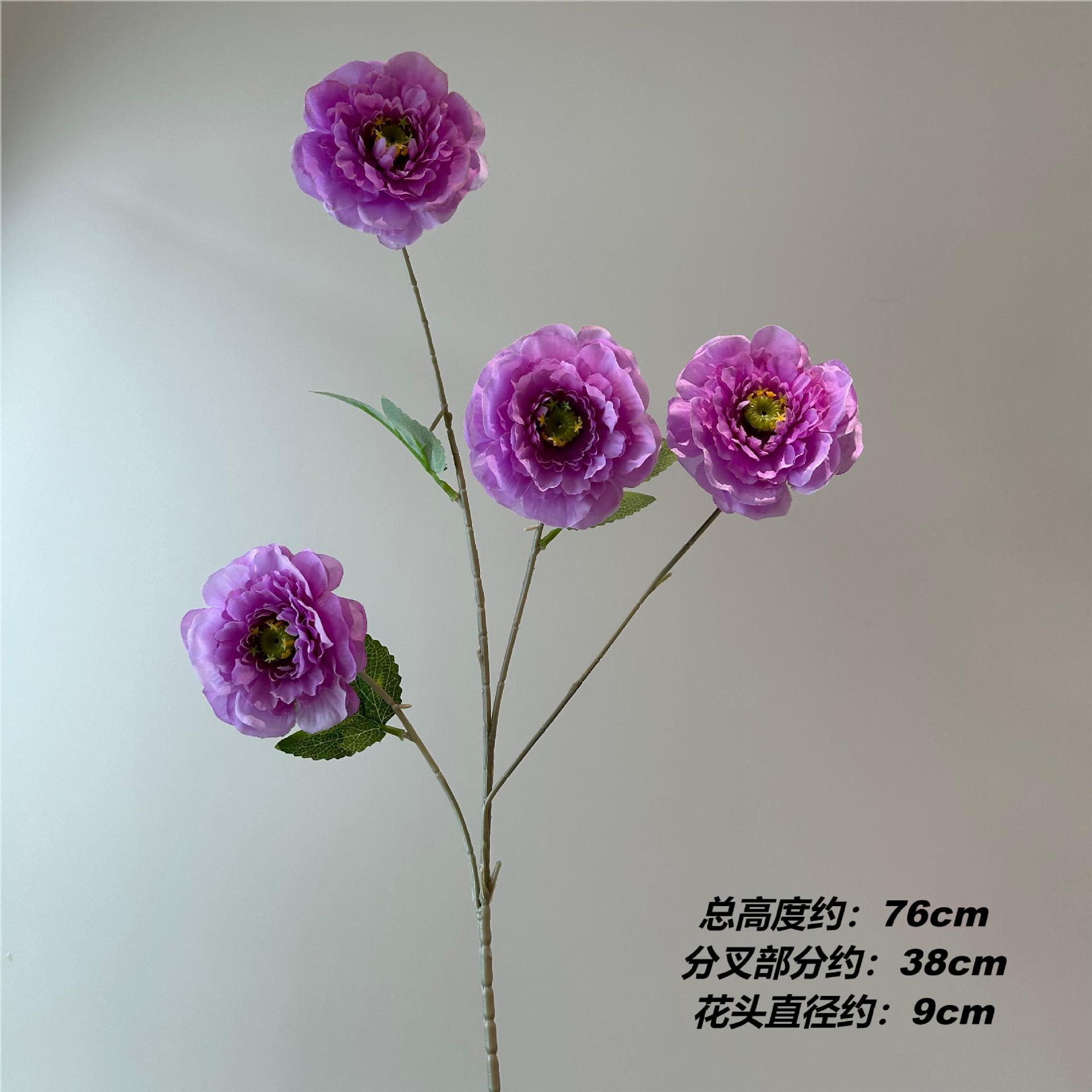 MZ 루리안