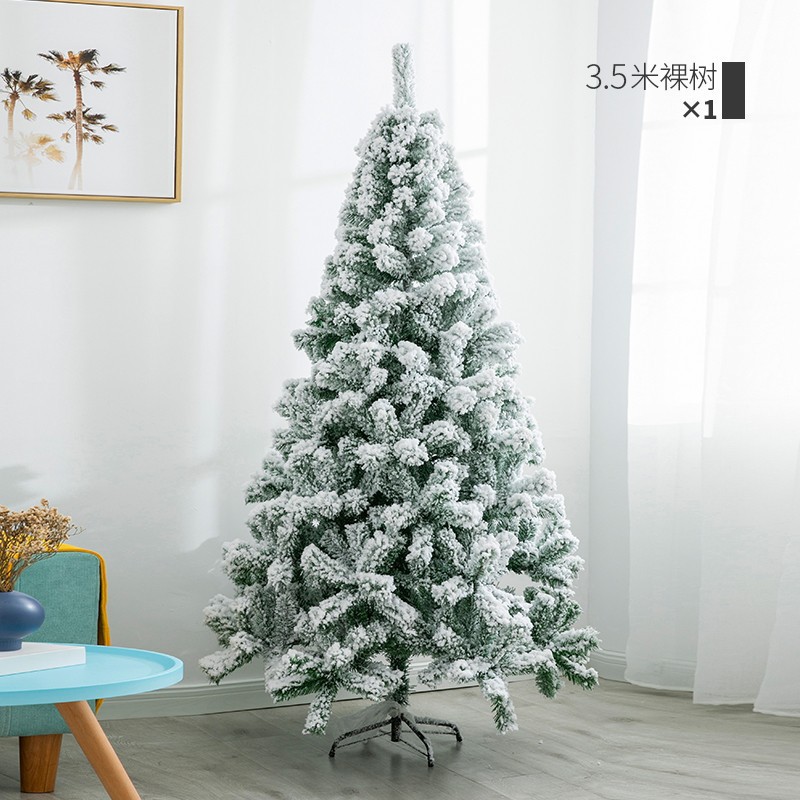 3.5m 벌거벗은 나무