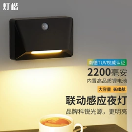 室内壁灯;小夜灯;庭院灯
