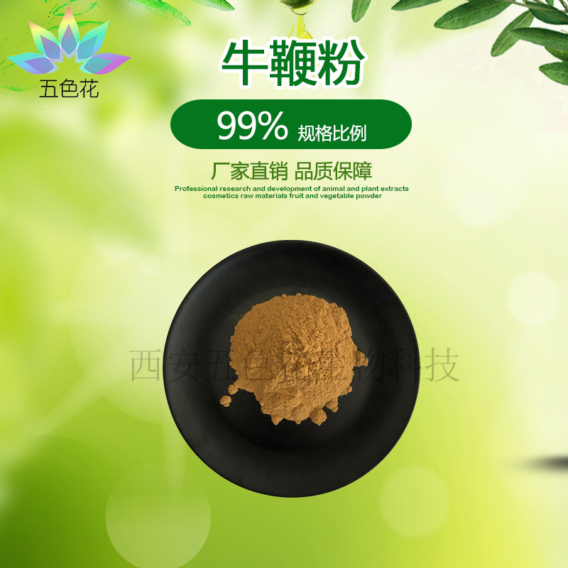 牛鞭粉99% 牛睾丸粉 牦牛鞭 水溶牦牛鞭粉 牦牛鞭提取物 现货包邮