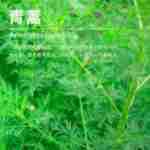 ��Ӧ���﴿¶  �������� ���Ҵ�¶���� ��ӭ��ѯ������������