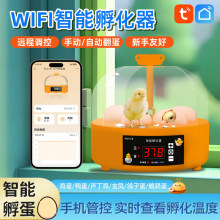 ������С�ͼ���ȫ�Ԅ����܃�ͯ�������W�^�g���J���uС�B��������