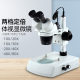Spot direct supply of two fixed magnification binocular stereo microscope 10x30x industrial optical circuit board magnification objective lens