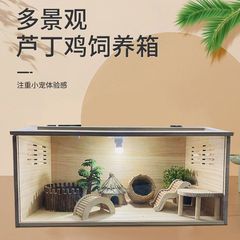 芦丁鸡仓饲养箱育雏保温箱鸡笼别墅家用芦丁鸡宠物用品笼子