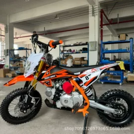 其他电动车;两轮摩托车;滑板车