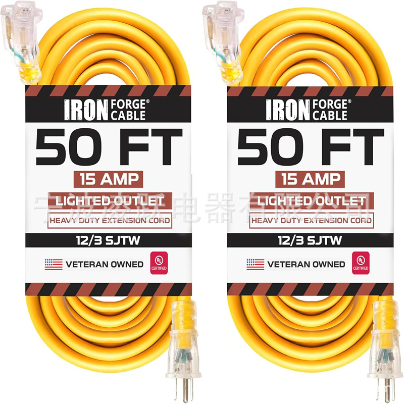 铁锻造电缆 2 件装 50 英尺户外延长线 - 12/3 SJTW 重型黄色