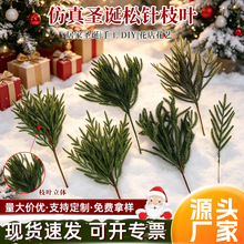 �}�Q������֦�����b٘�֦�}�Q��DIY����Gֲ�}�Q���b����