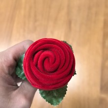 �r�о�Ʒõ�廨�^�Ɏ�֦��ָ�о��¶�ᔽq��ֲ�q�ߙn�YƷ�ЏS��ֱ