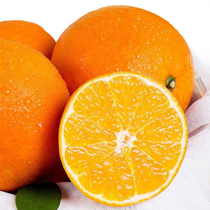 四川青见脐橙新鲜果子橙子时令水果当季多无籽甜橙子4月16日发完