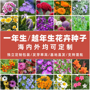 �羳���NС���b���ܷN���ļ�ͨ���׷N��ͥ�@ˇ�༉�Nֲ����ѿ�ʸ�