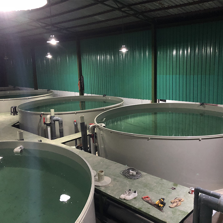 超耐磨水产养殖可移动环保水循环塑料鱼池ERP水池流水池高效循环