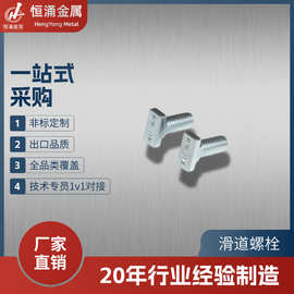 【定制非标】T型头滑道螺栓导轨固定螺丝碳钢滑动全螺纹螺杆