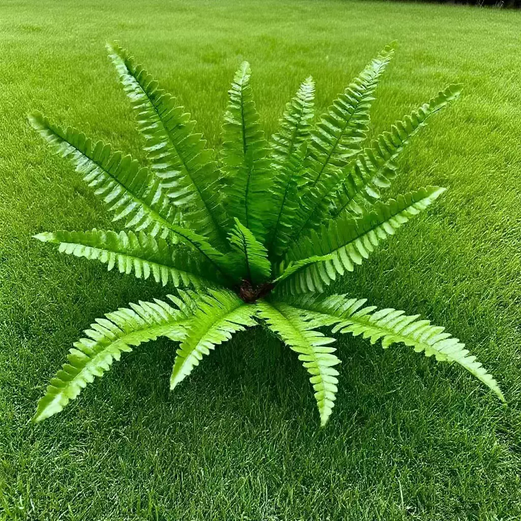 仿真植物配饰绿植仿真波斯叶蕨类仿草壁挂室内绿色背景墙装饰