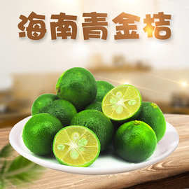 【严选】海南青金桔   新鲜应季水果金桔代发3/5斤夏季热销水果