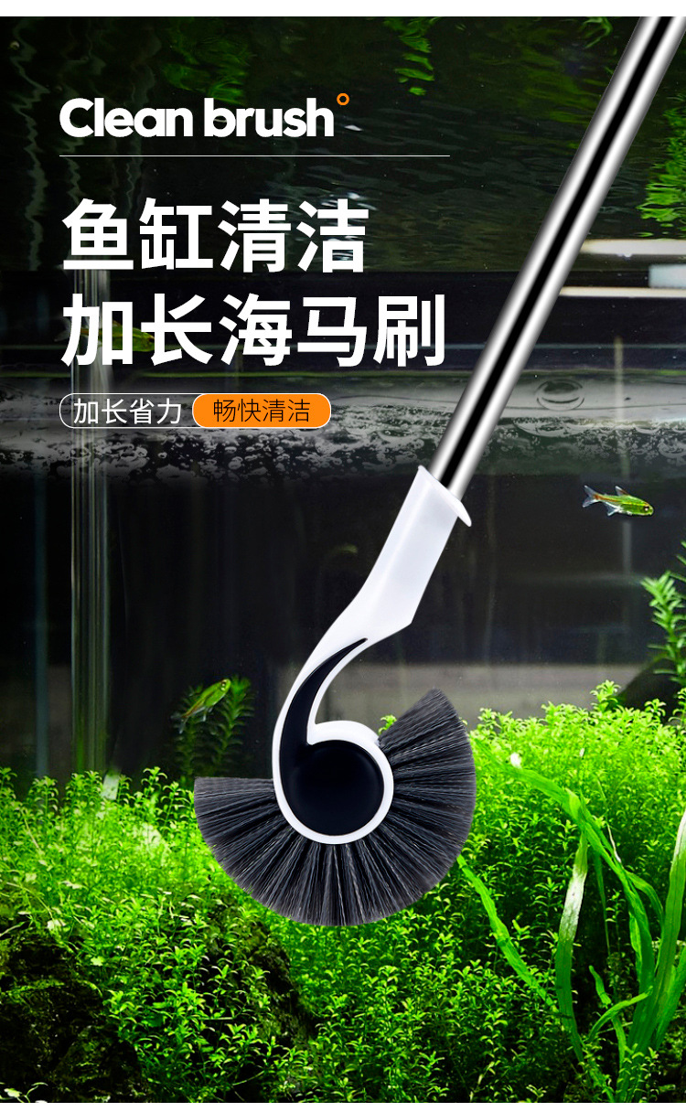 海马刷_02.jpg