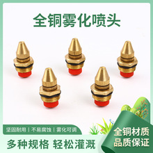 ȫ�~���{���F�����^�r�Ç��F���G����ľ��ȹ��I���m���ؼ�ɽ���^