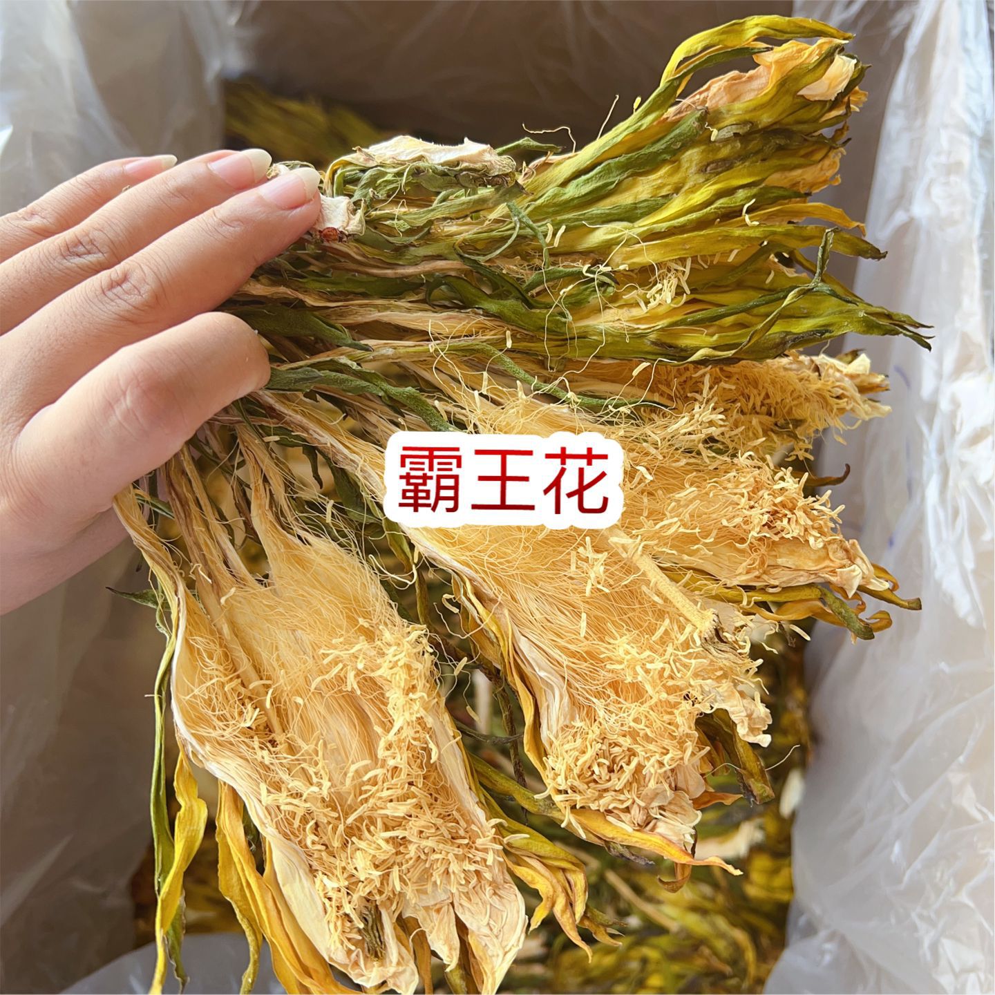 霸王花 地摊电商 批发 剑花干 干剑花 霸王花干 干霸王花