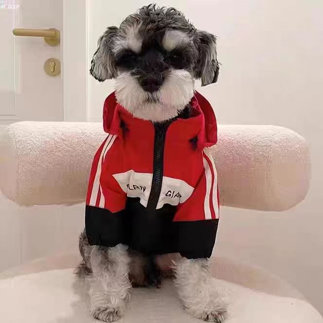 애완 동물 고양이와 개 이른 봄 옷 테디 비숑 슈나우저 트렌디 브랜드 작은 잘 생긴 문자 줄무늬 재킷
