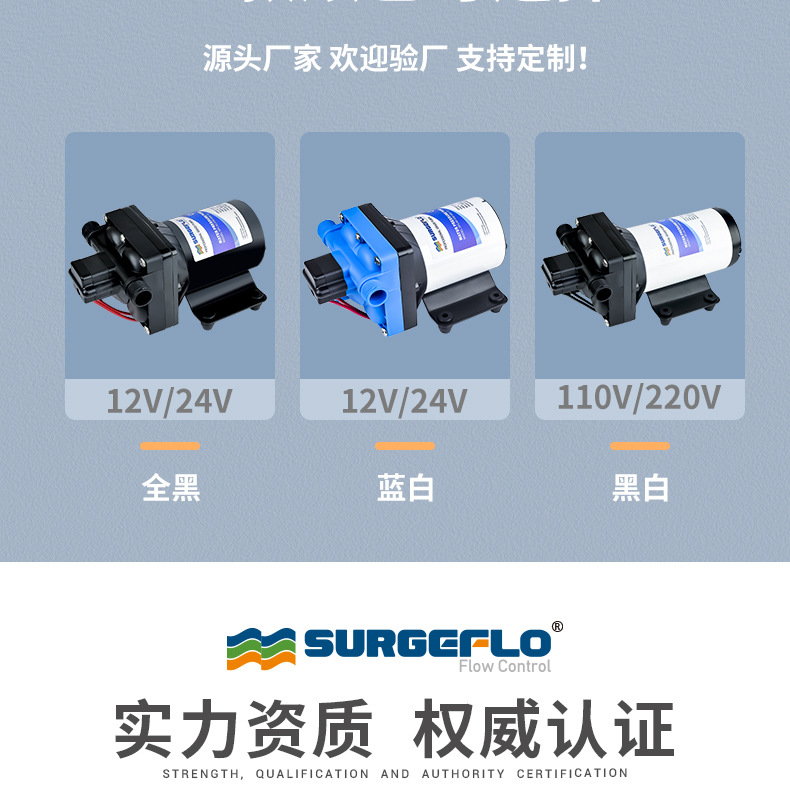 42款12v24v隔膜泵