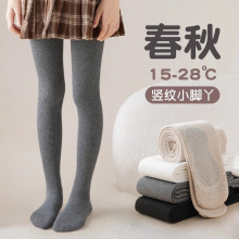 女童打底裤春秋冬薄绒中厚款一体宝宝白色外穿加绒加厚儿童连裤袜