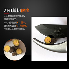 Manufacturer wholesale gardening scissors for pruning branches, special flower pruning scissors, garden tools for pruning