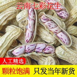 干果生货;生花生
