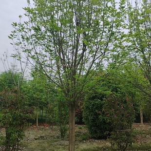 �Ĵ��F���ؑc���m5�������m6�������m8�������m10����