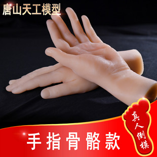 �������˵�ģ������ģS3-D��ָ�P���ɏ�����λ�����Ĕzչʾ����