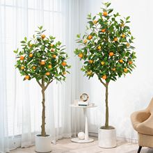 �߶��p�ݷ������Ә��҃ȾGֲ��ؼٽ�ۘ����Գ��ӎ����͏d�[��