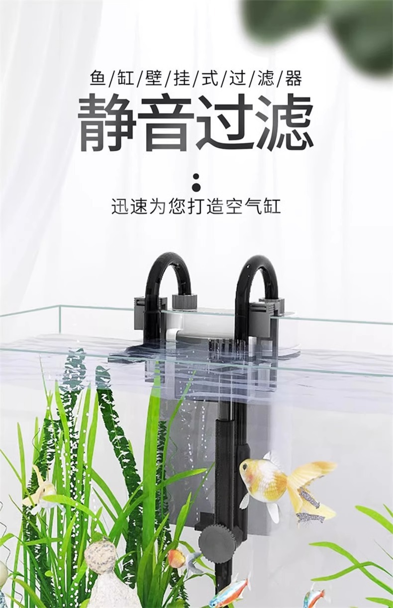 Details picture_01
