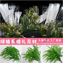 ��c�߾Gֲ��횲��L֦��ѿ�ٻ��׾Gɭϵ��c�b����廨·������