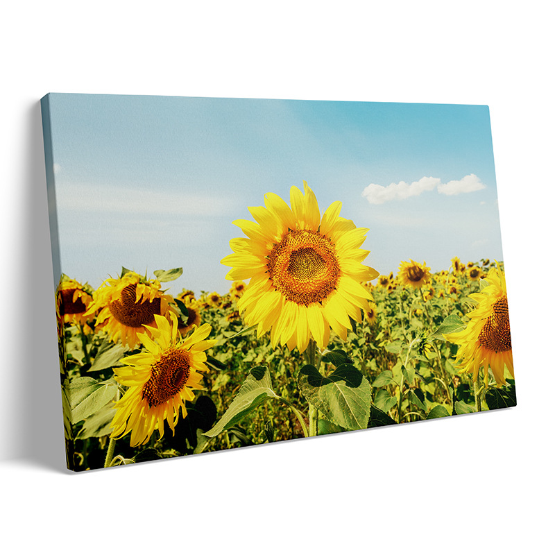 向日葵装饰画客厅挂画跨境韩式太阳花风景花海餐厅卧室内框无框画