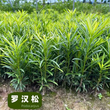 ����С�~ȸ���_�h�ɘ������Դ��~�_�h�����~�辰�ļ������쾰ͥԺ