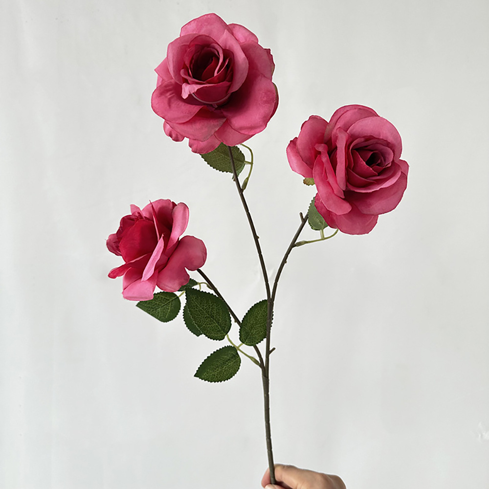 드렁큰 마안나 장미 3송이